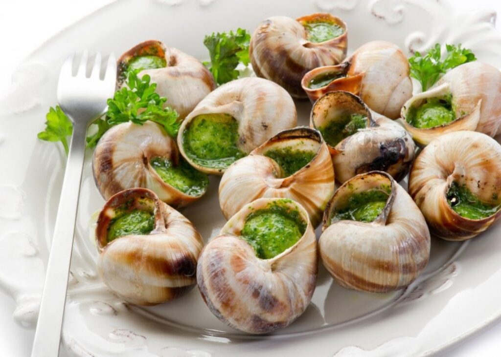 ESCARGOT CHRISTMAS FOODS IN FRANCE