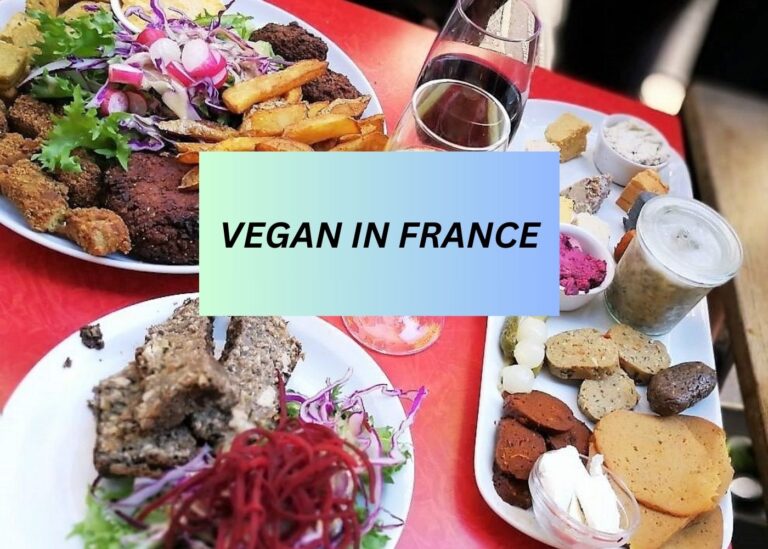 TRAVELING AS A VEGAN IN FRANCE 2024