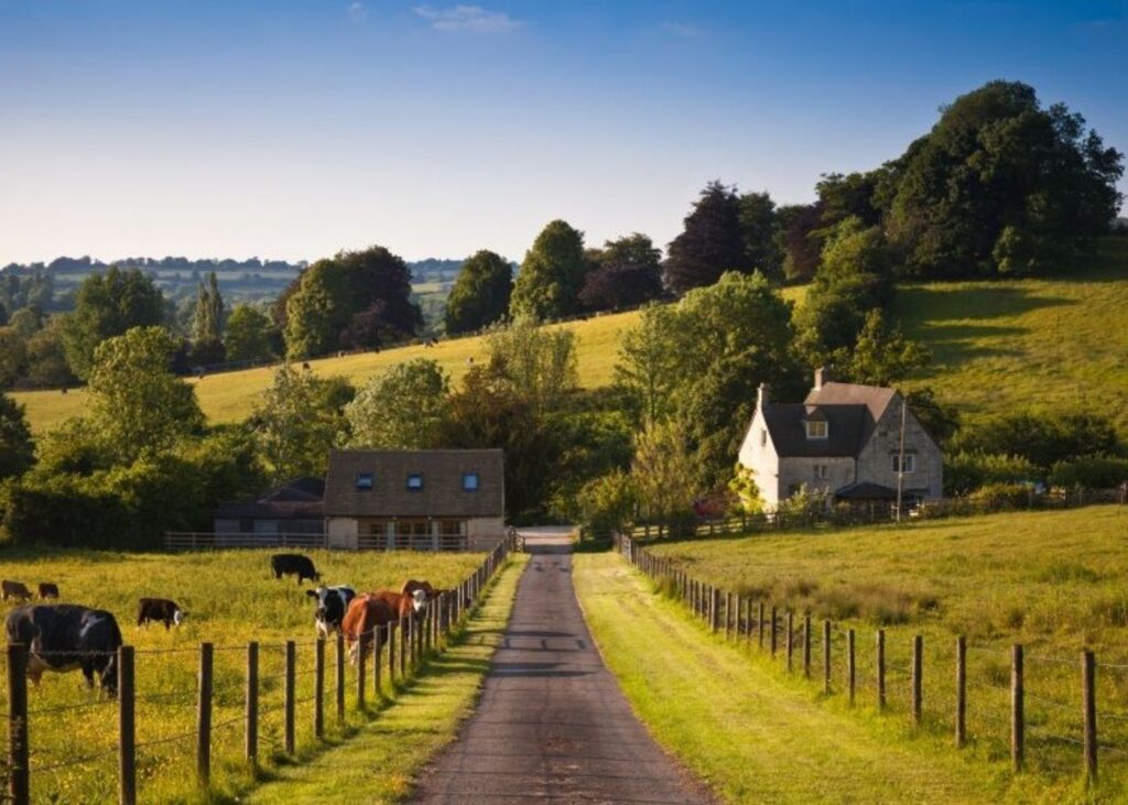 WHAT IS LIFE REALLY LIKE MOVING TO RURAL FRANCE