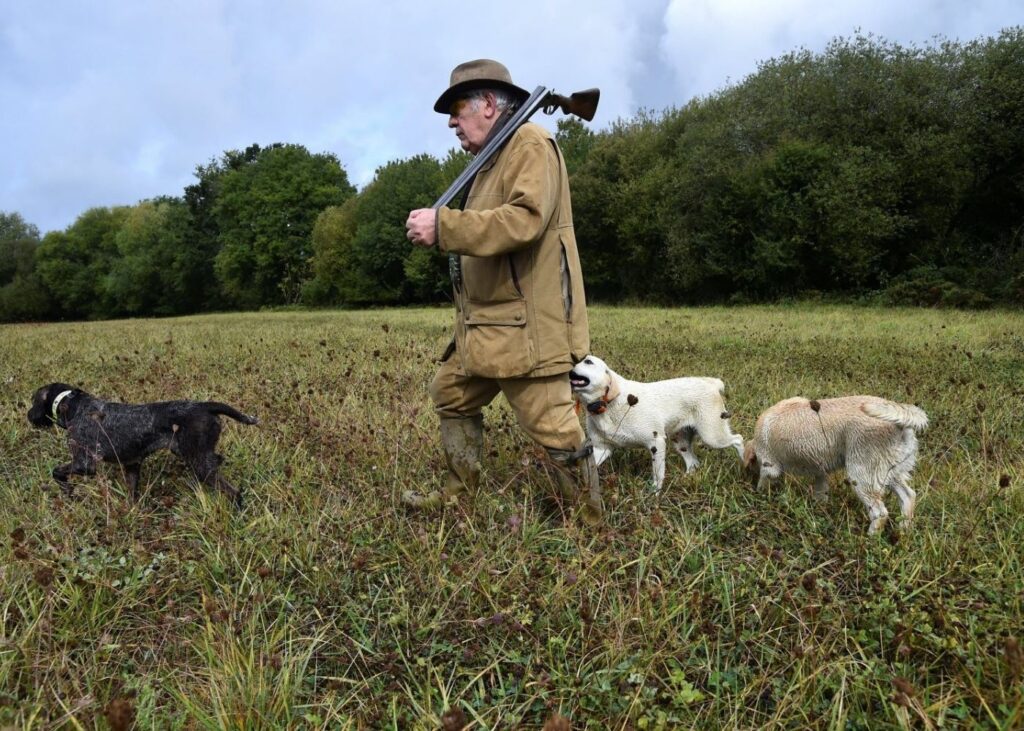 YOU COULD GET SHOT BY LA CHASSE IN THE FRENCH COUNTRYSIDE